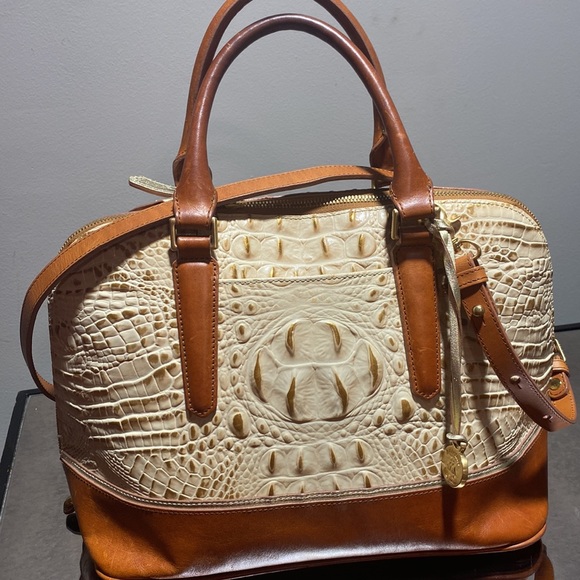 Brahmin - Picture 9 of 10